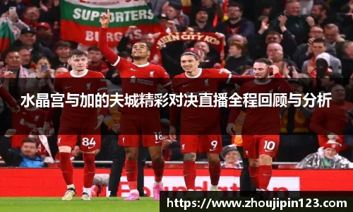 水晶宫与加的夫城精彩对决直播全程回顾与分析